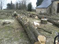 další část areálu další část areálu