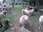 fo:rozpocty:participativni:prihlasky:samsung_foto_361.jpg