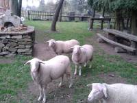 další návštěvníci baru další návštěvníci baru