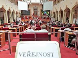 obrázek: praha-mestske-zastupitelstvo-verejnost_denik-380.jpg